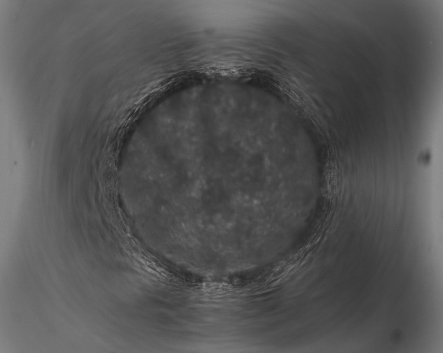 X0000116101297200912071249