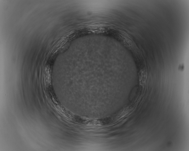 X0000116101298200912071249