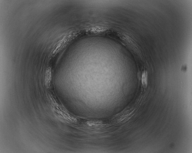 X0000116101299200912071249