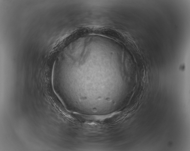 X0000116101301200912071249