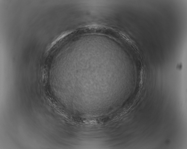 X0000116101302200912071249