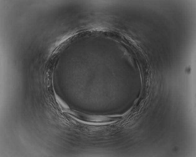 X0000116101303200912071250