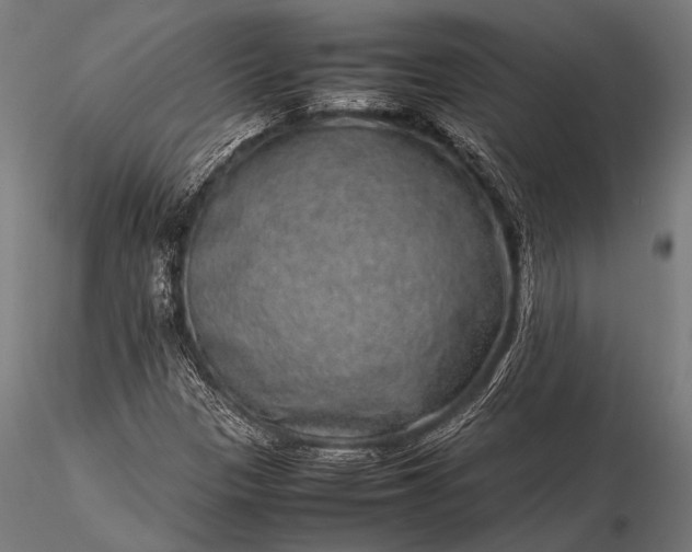 X0000116101305200912071250