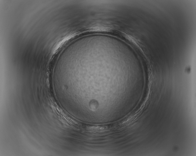 X0000116101307200912071250