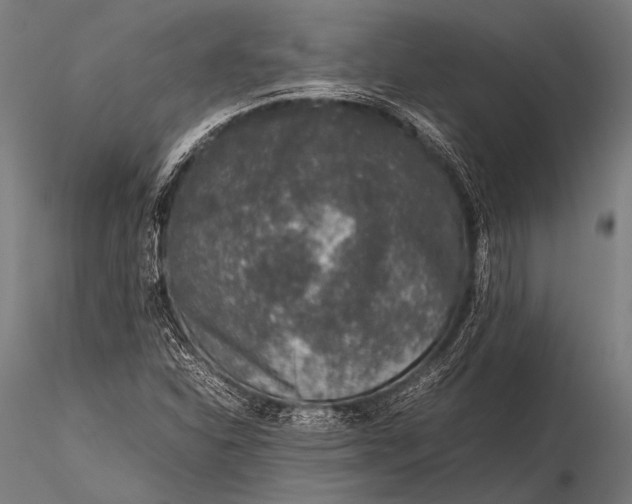 X0000116101310200912071250