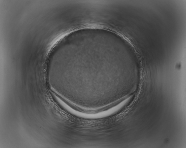 X0000116101311200912071250