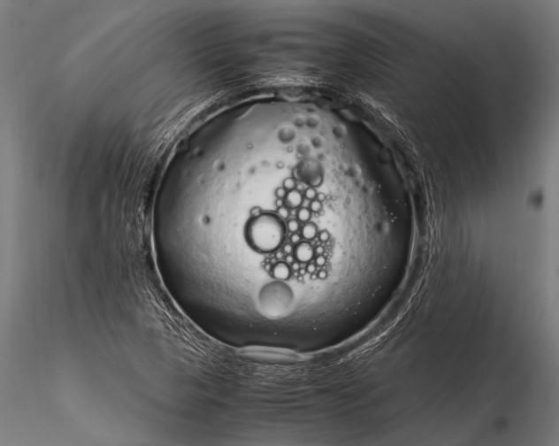 X0000116101313200912071250