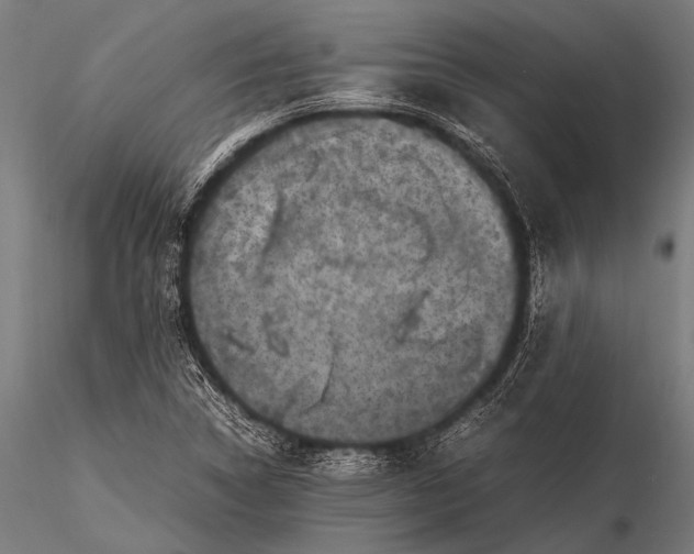 X0000116101314200912071250