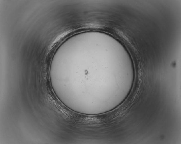 X0000116101315200912071250