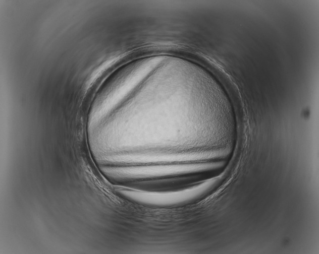 X0000116101317200912071250