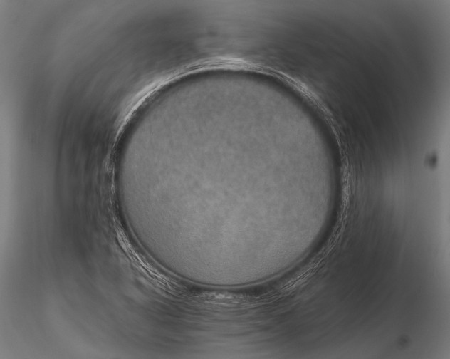 X0000116101318200912071250