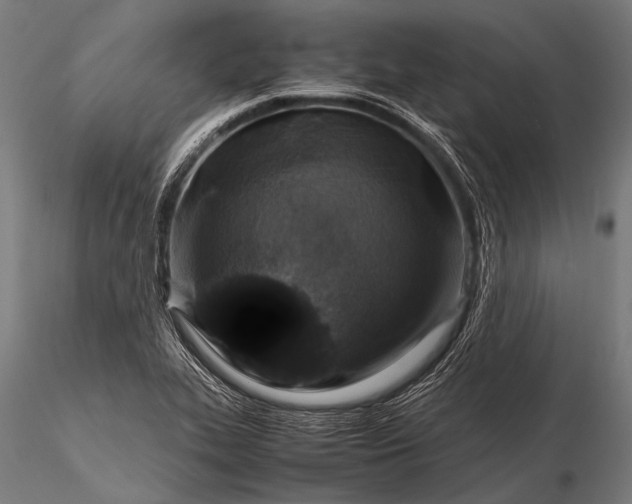 X0000116101319200912071250