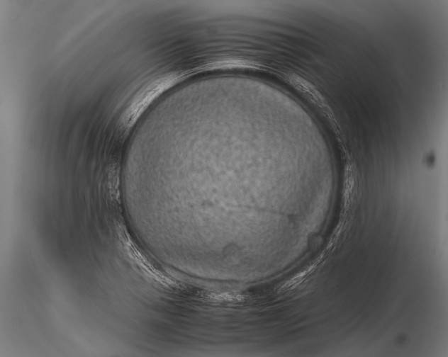 X0000116101321200912071250