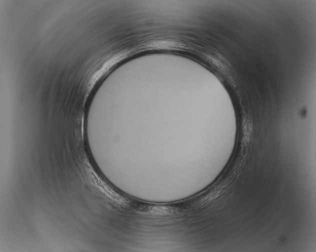 X0000116101322200912071250