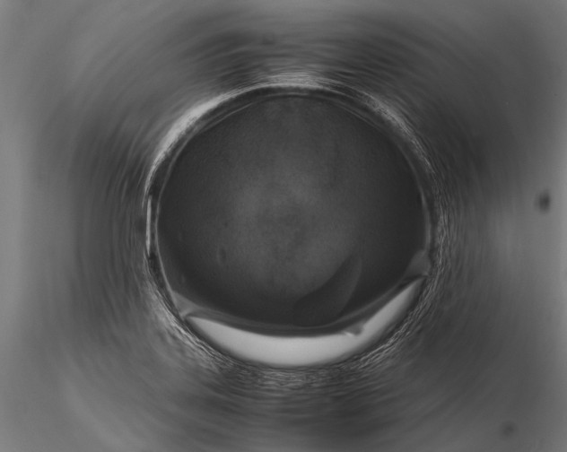 X0000116101323200912071250