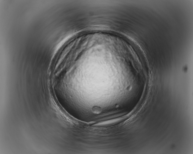 X0000116101325200912071250