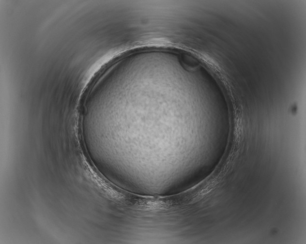 X0000116101326200912071250