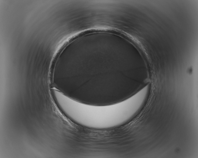 X0000116101327200912071250