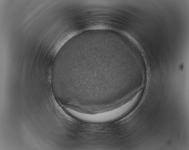 X0000116101329200912071250