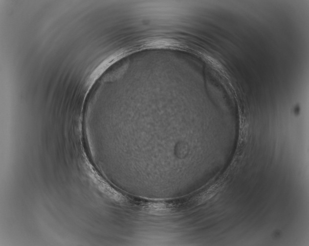 X0000116101330200912071250