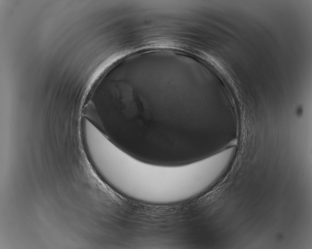 X0000116101331200912071250