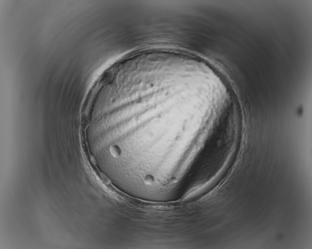 X0000116101333200912071250