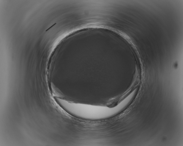 X0000116101334200912071250