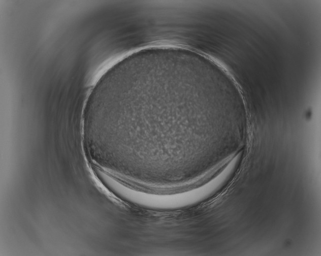 X0000116101335200912071250