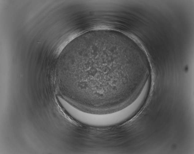 X0000116101337200912071250