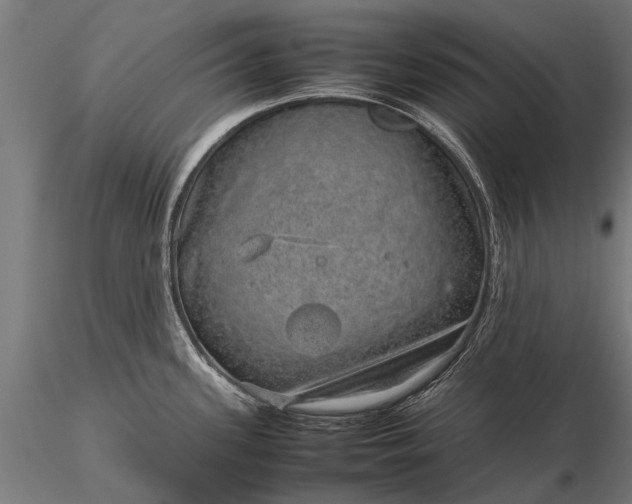 X0000116101339200912071250