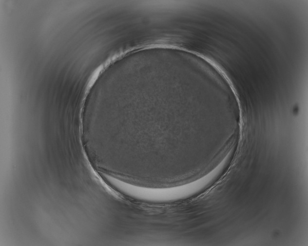 X0000116101341200912071250