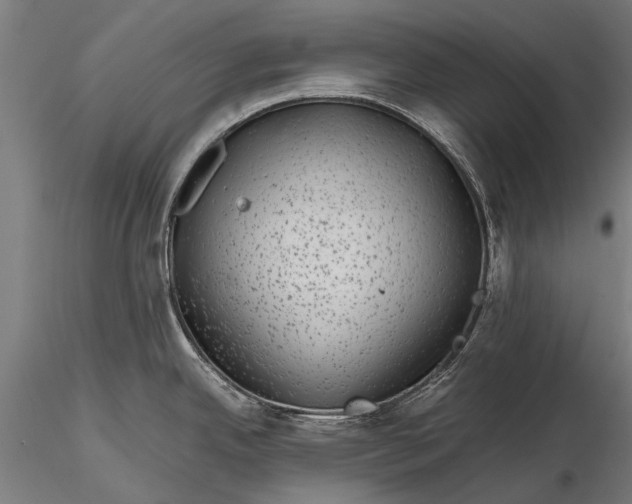 X0000116101342200912071250