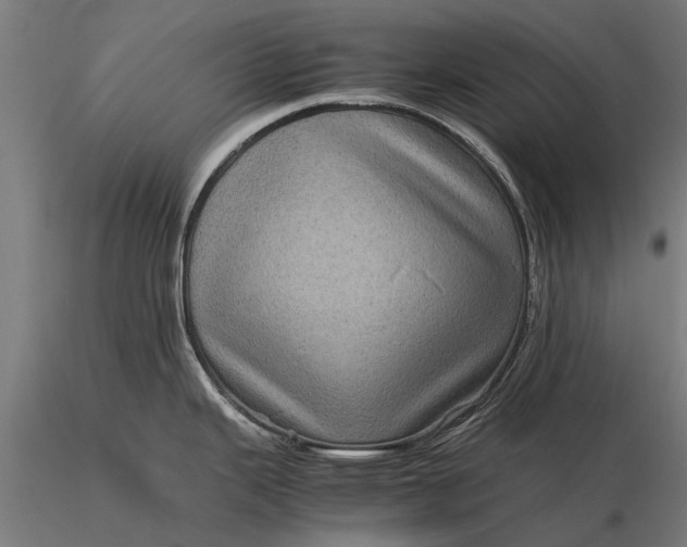 X0000116101343200912071250