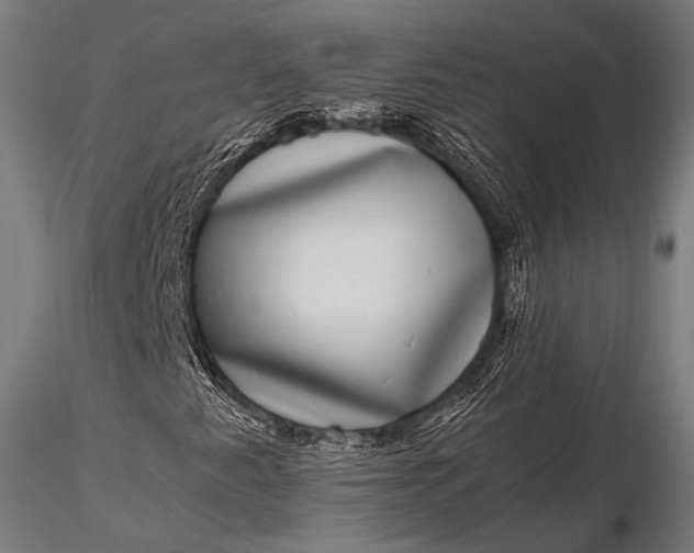 X0000116101345200912071249