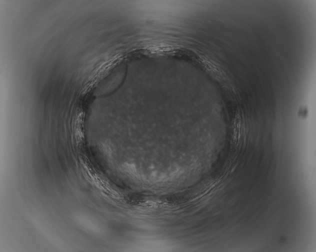 X0000116101346200912071249