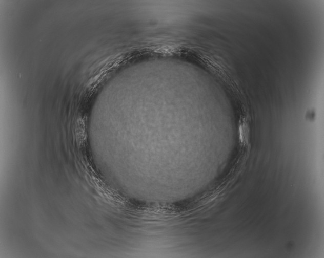 X0000116101347200912071249