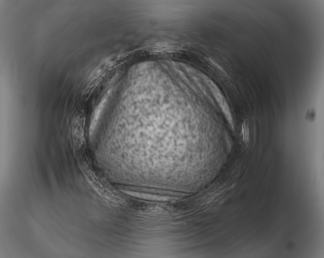 X0000116101348200912071249