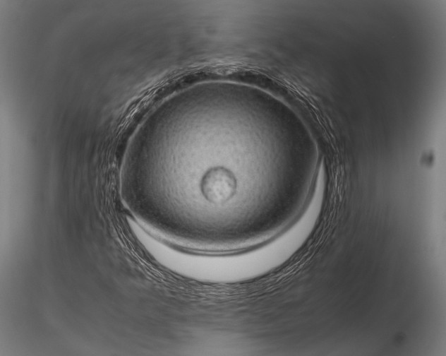 X0000116101349200912071249