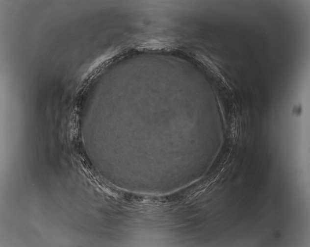 X0000116101350200912071249