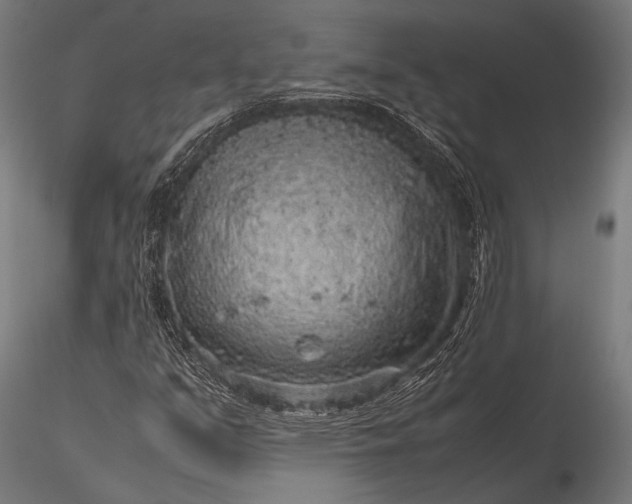 X0000116101351200912071249