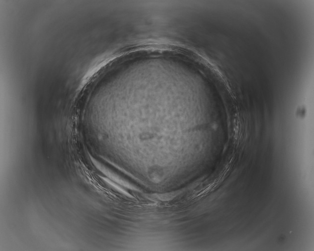 X0000116101352200912071249