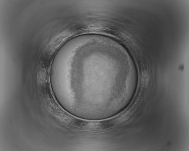 X0000116101353200912071249