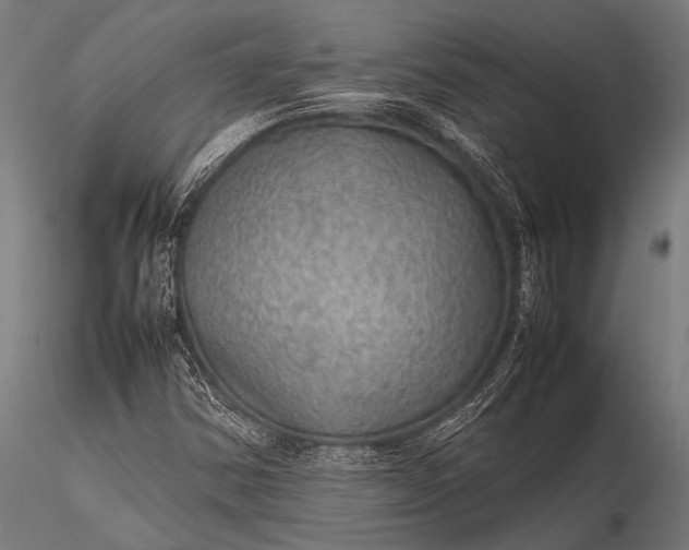 X0000116101354200912071249