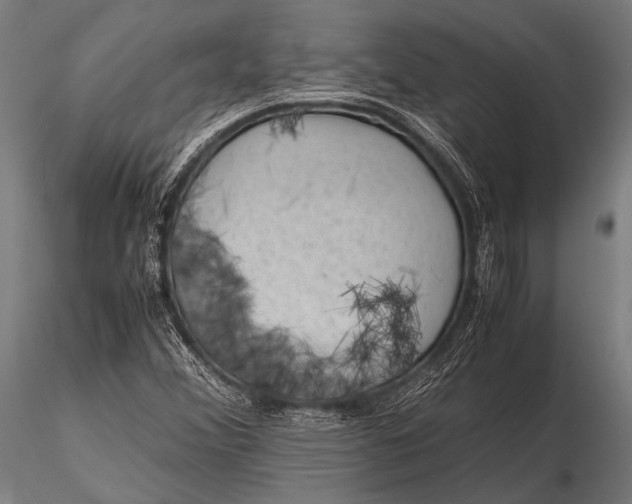 X0000116101356200912071249