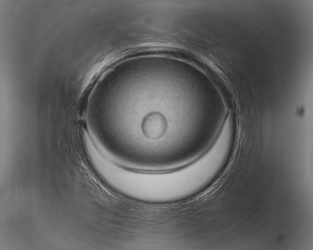 X0000116101357200912071249