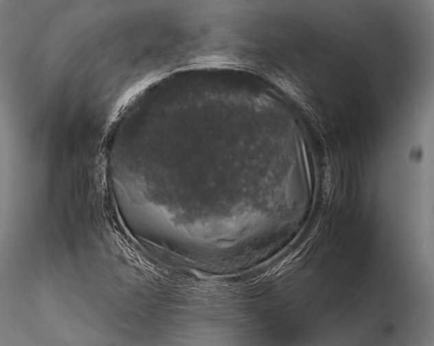 X0000116101358200912071249