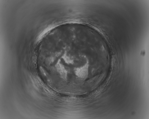 X0000116101359200912071249