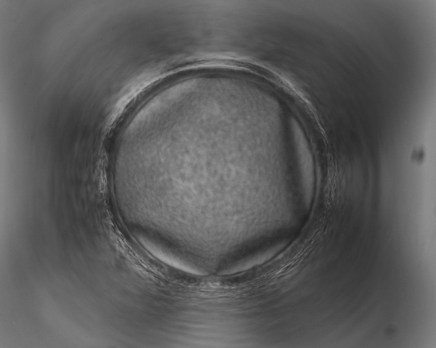 X0000116101360200912071249