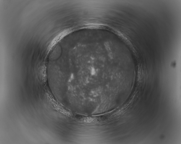 X0000116101362200912071249