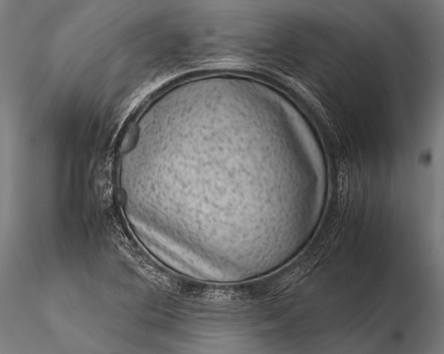 X0000116101364200912071249